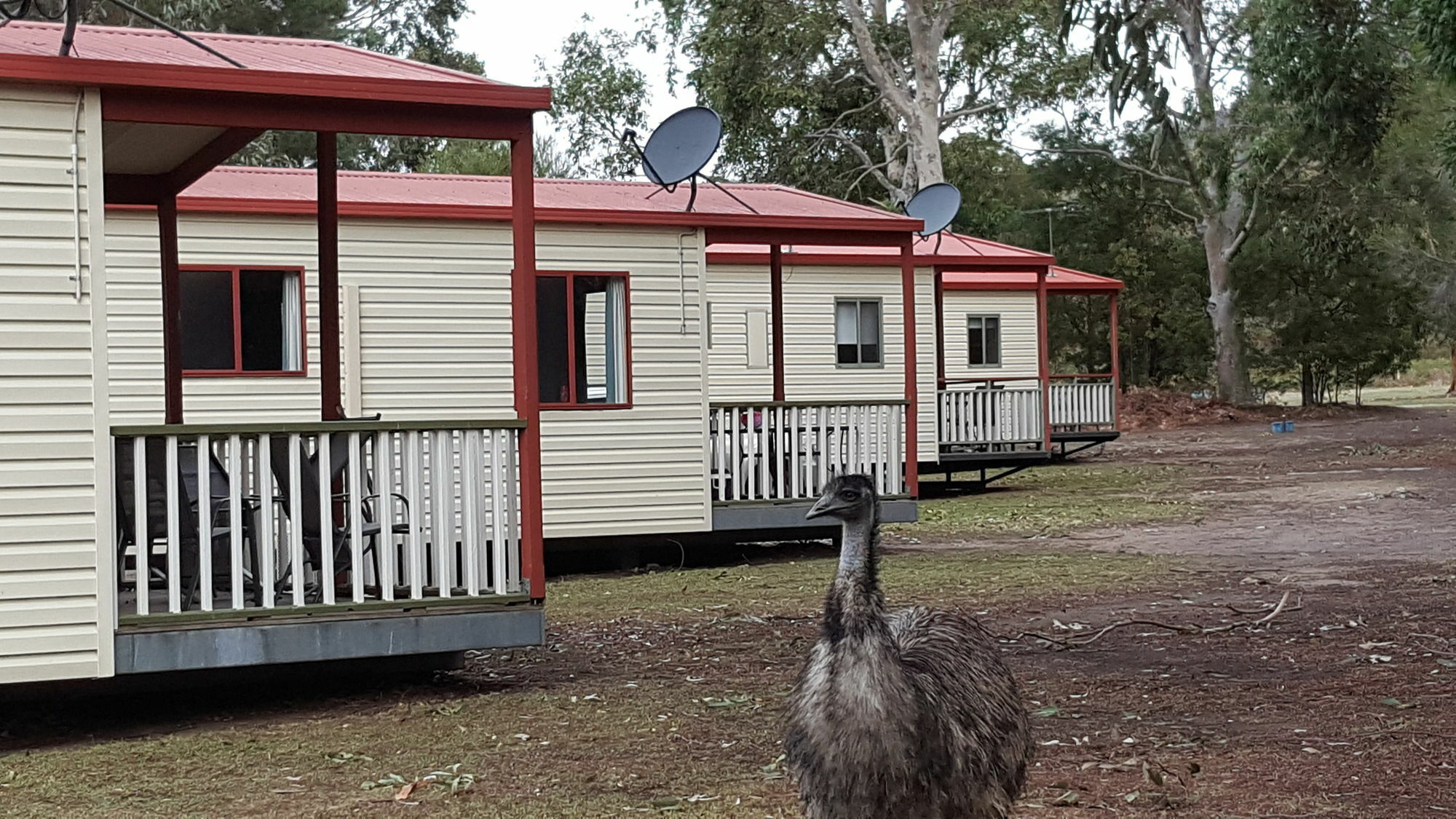 Breeze Holiday Parks - Grampians Halls Gap Exterior photo